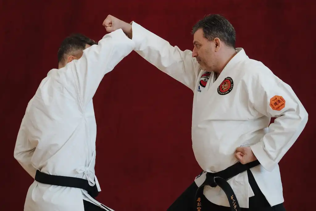 Neigong Karate Austria Gallery Bild - Neigong Karate Austria Gallery Bild - - 6