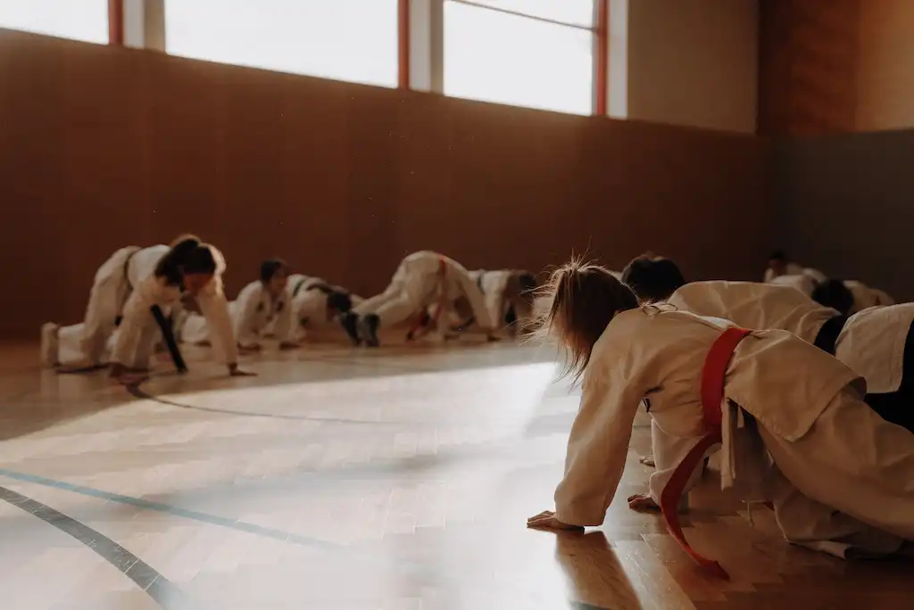 Neigong Karate Austria Gallery Bild - Neigong Karate Austria Gallery Bild - - 1