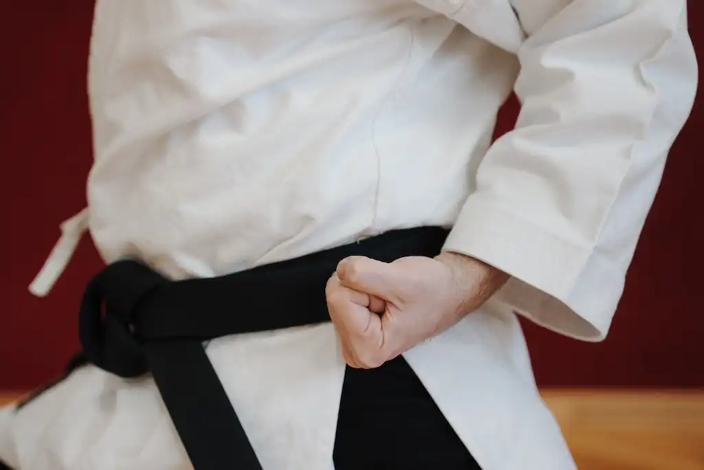 Neigong Karate Austria Gallery Bild - Neigong Karate Austria Gallery Bild - - 7
