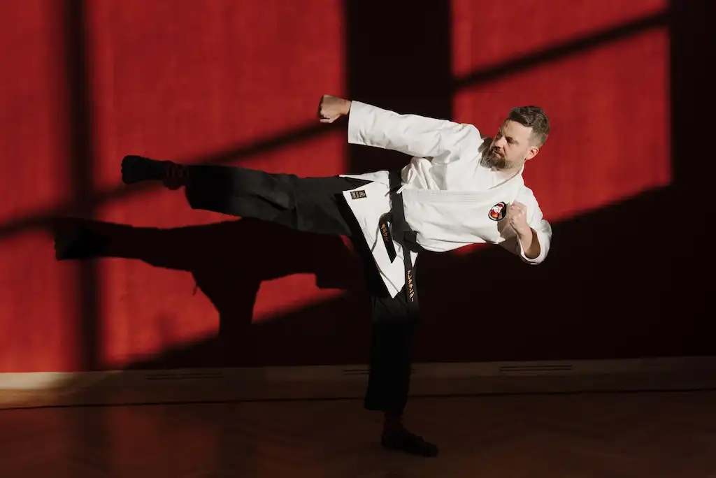 Neigong Karate Austria Gallery Bild - Neigong Karate Austria Gallery Bild - - 0